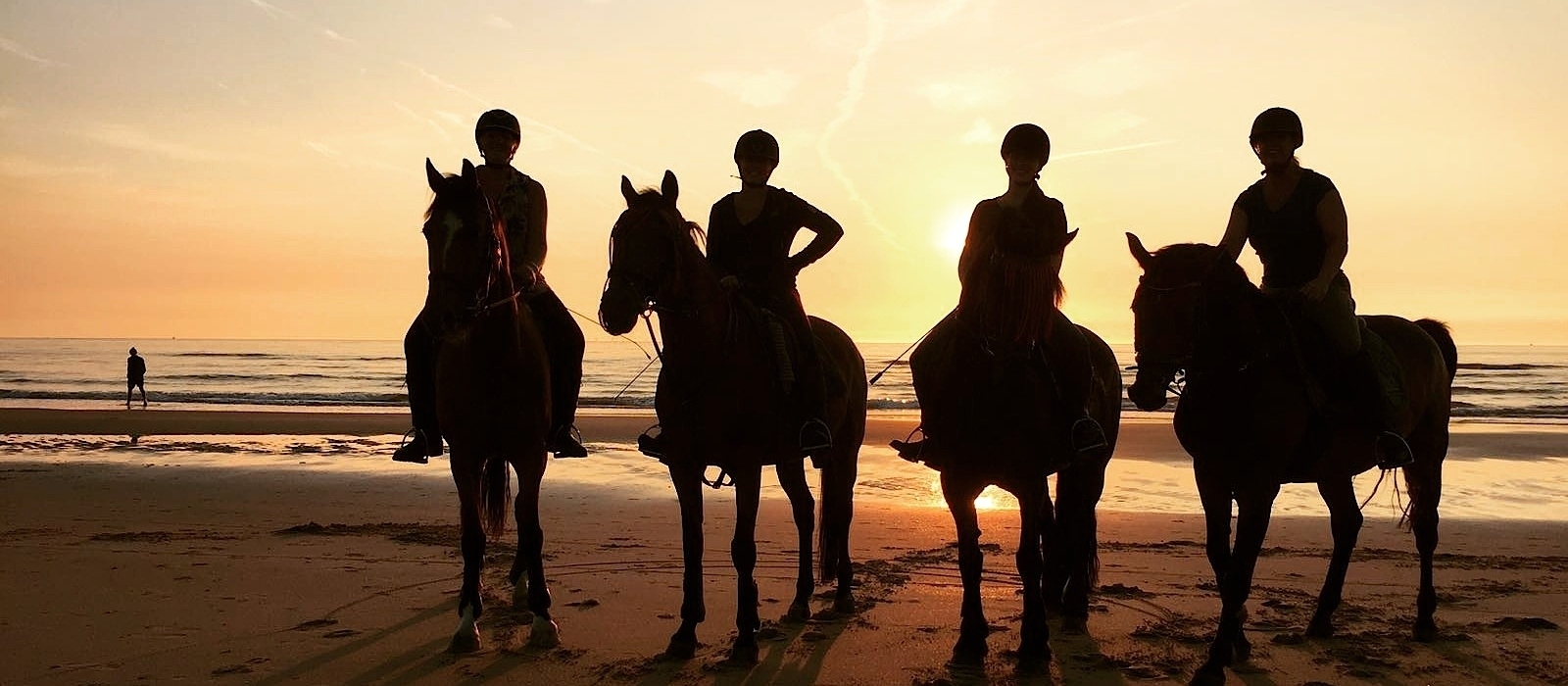 14744446963strandritten-manege-zandvoort.jpg